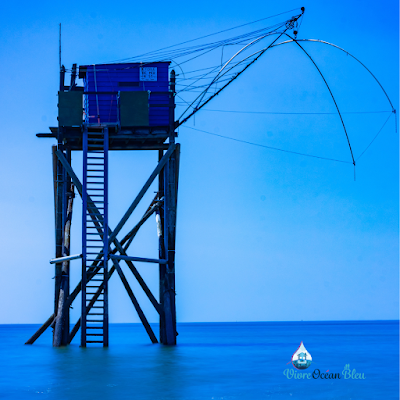 Bertrand PERONNY - Vivre Océan Bleu à Saint-Brevin-les-Pins