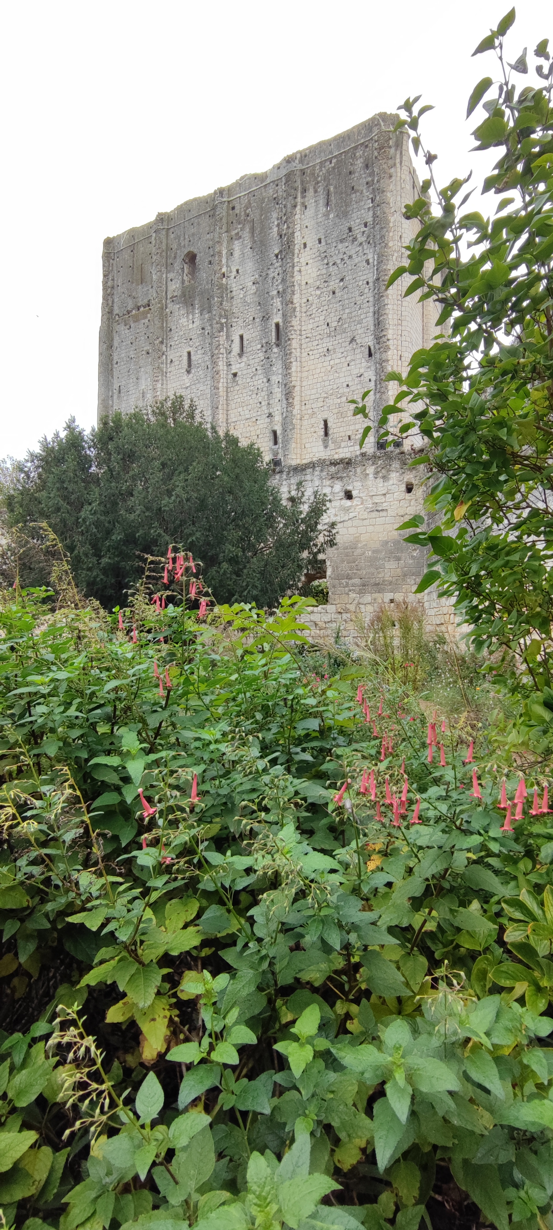 Photo n° 2 de l'avis de Alain.A fait le 28/10/2023 à 16:18