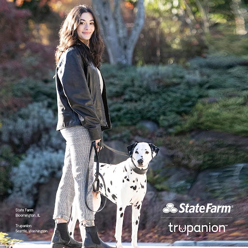 Insurance Agency «Joaquin Carrasquillo - State Farm Insurance Agent», reviews and photos