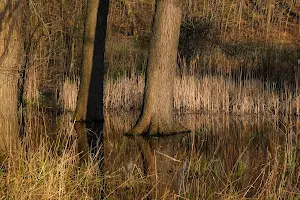 Grand River Conservation Area image