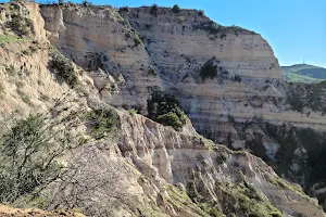Limestone Canyon Regional Park image