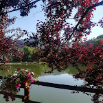 Photo n°1 de l'avis de Anna.l fait le 27/06/2020 à 19:52 sur le  Ristorante I Due Laghi à Firenzuola