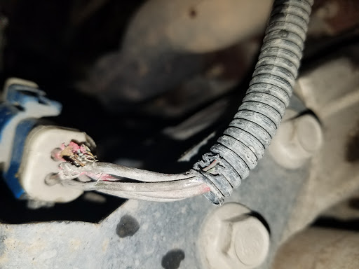 Tire Shop «Point S Capital City Tire & Auto Service», reviews and photos, 715 N Last Chance Gulch, Helena, MT 59601, USA