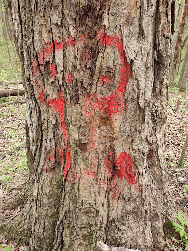 Nature Preserve «Seven Pillars Nature Preserve», reviews and photos, 3555 Mississinewa Rd, Peru, IN 46970, USA