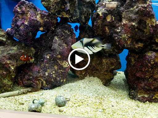 Pet Supply Store «Petco Animal Supplies», reviews and photos, 693 Middletown Warwick Rd, Middletown, DE 19709, USA