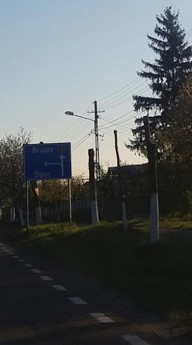 DJ145, Măgureni, România