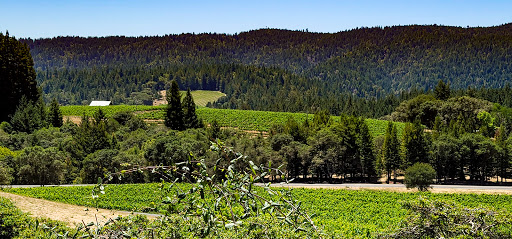 Winery «Roederer Estate», reviews and photos, 4501 CA-128, Philo, CA 95466, USA