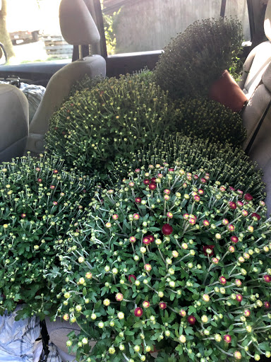 Gift Shop «Oronoque Farms», reviews and photos, 188 Leavenworth Rd, Shelton, CT 06484, USA