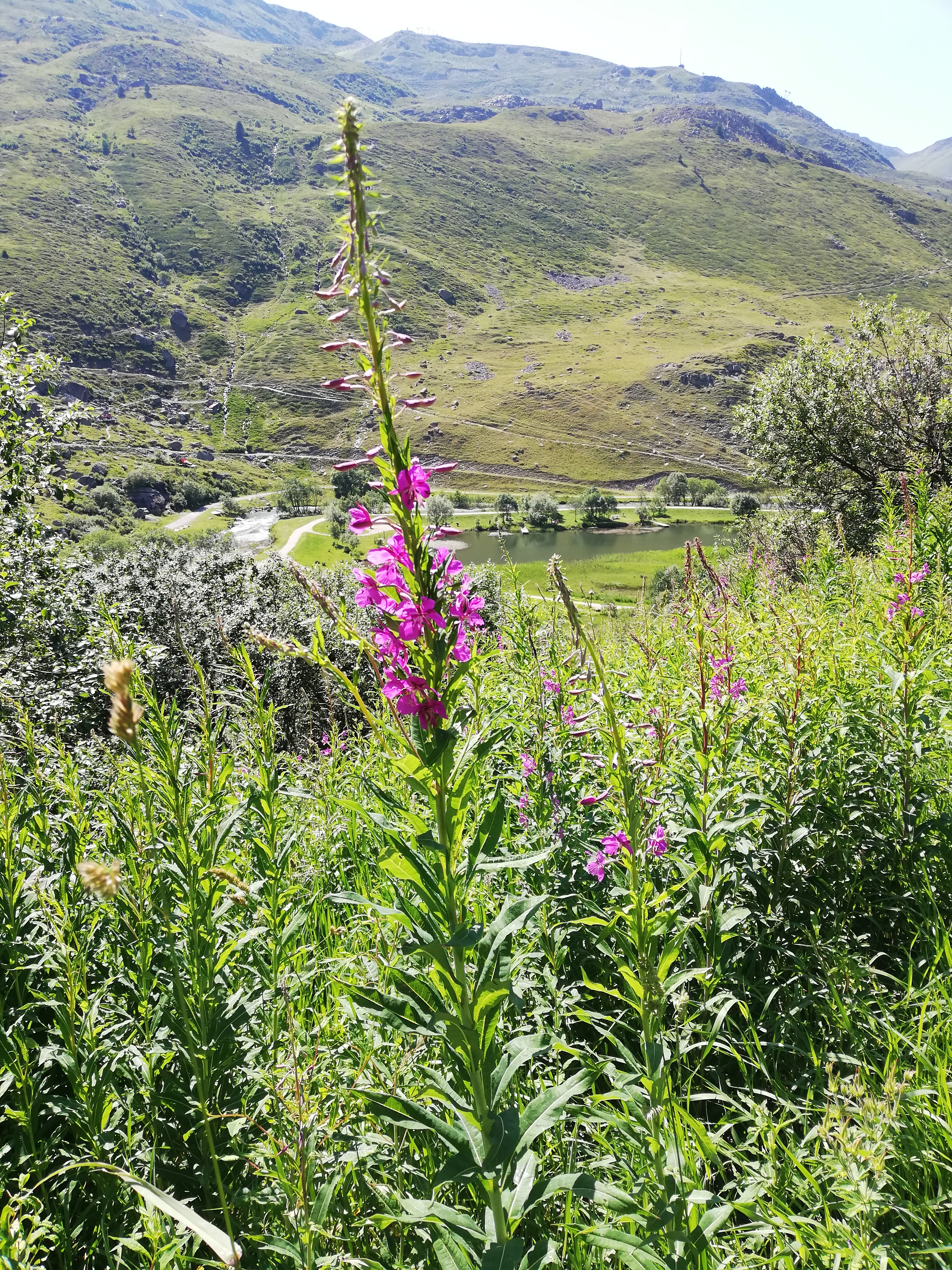 Photo n° 3 de l'avis de Kris.e fait le 16/07/2019 à 16:15