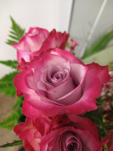 Florist «Grace Harper Florist, Inc.», reviews and photos, 4135 Woodward Ave, Detroit, MI 48201, USA