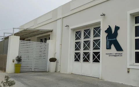 Veterinary Clinic of Cyclades image