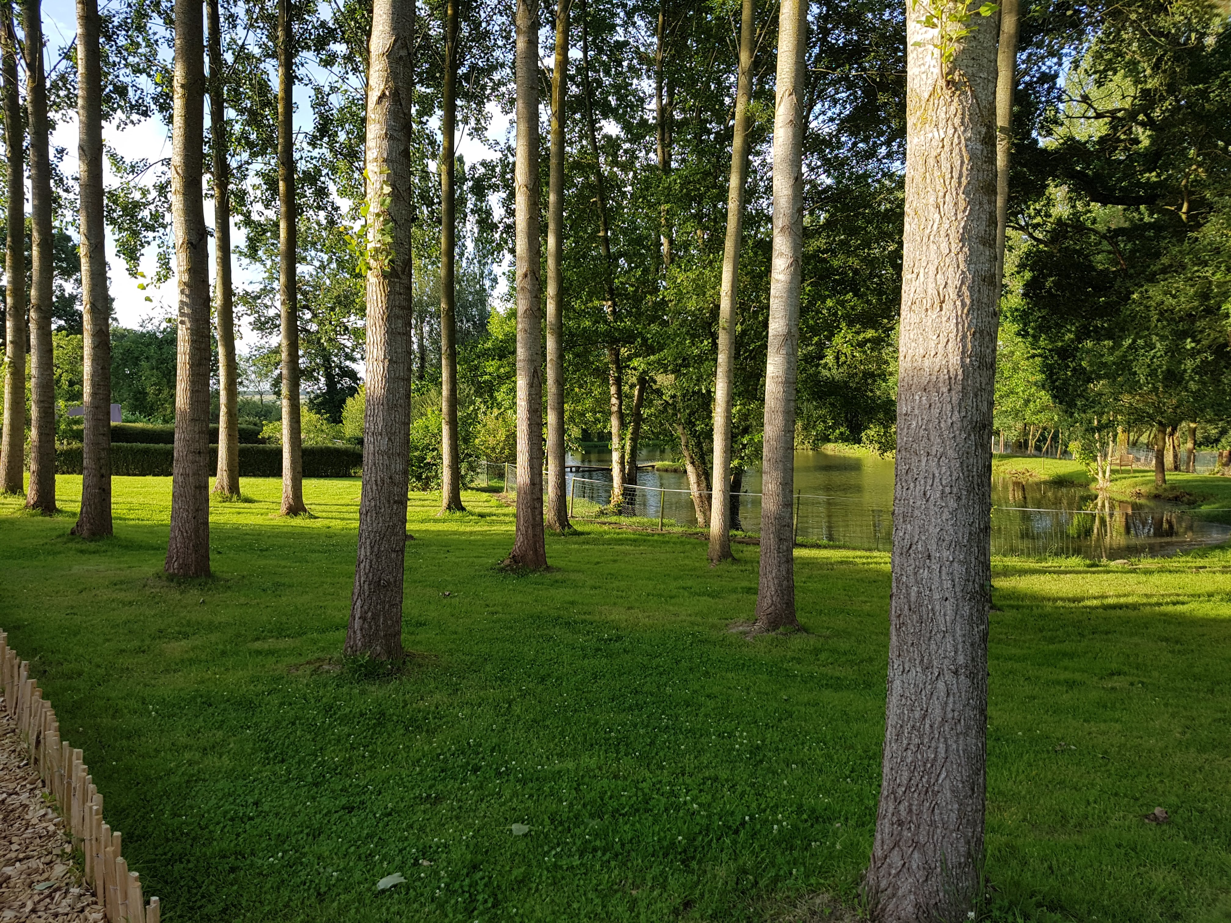 Photo n° 8 de l'avis de Agathe.E fait le 14/08/2018 à 11:10