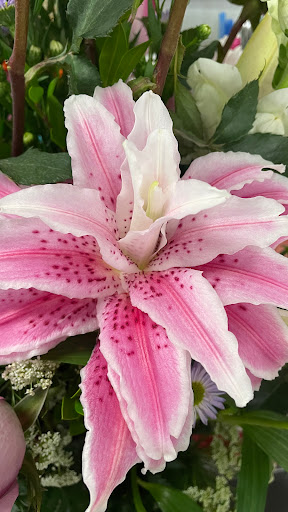 Florist «Expressions Florist», reviews and photos, 1190 E Imperial Hwy, Placentia, CA 92870, USA