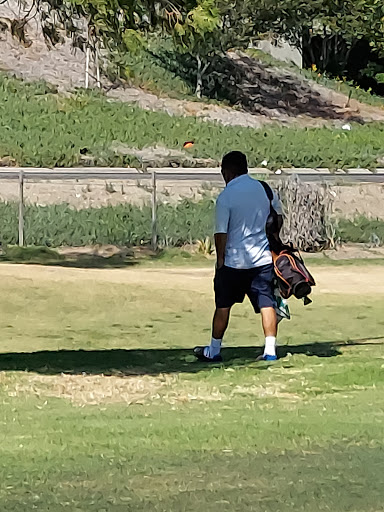 Golf Course «Fairmount Golf Course», reviews and photos, 2681 Dexter Dr, Riverside, CA 92501, USA