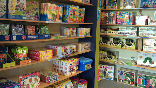 Brains N Motion Toys