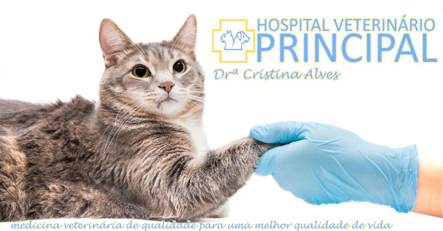 Hospital Veterinário Principal Doutora Cristina Alves