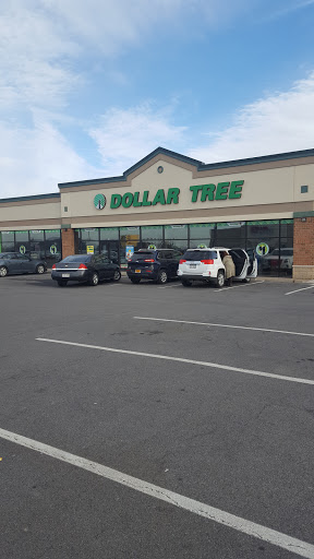 Dollar Tree image 10