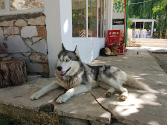 Umut Çeşmesi Dinleme Tesisi