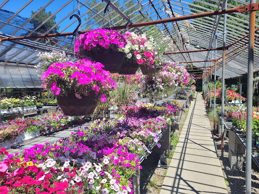 Plant Nursery «Goldner Walsh Garden and Home», reviews and photos, 559 Orchard Lake Rd, Pontiac, MI 48341, USA