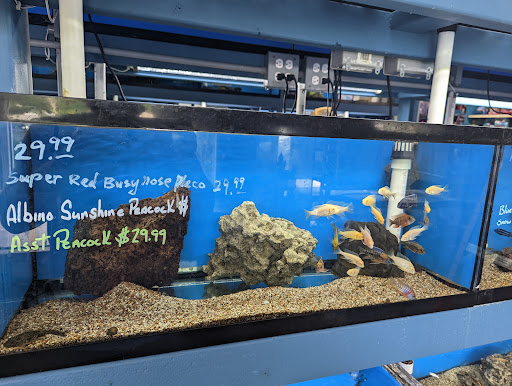 Pet Store «Aqua World Pet Super Center», reviews and photos, 8143 Ohio River Blvd, Pittsburgh, PA 15202, USA