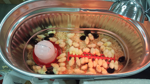 Home Improvement Store «Tractor Supply Co.», reviews and photos, 901 FM 509, San Benito, TX 78586, USA