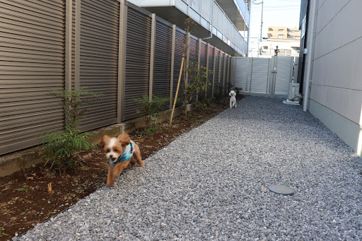 ADACHI動物病院のペットホテル