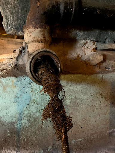 Plumber «RotoKing», reviews and photos, 163 Skinner Dr, New Britain, CT 06053, USA