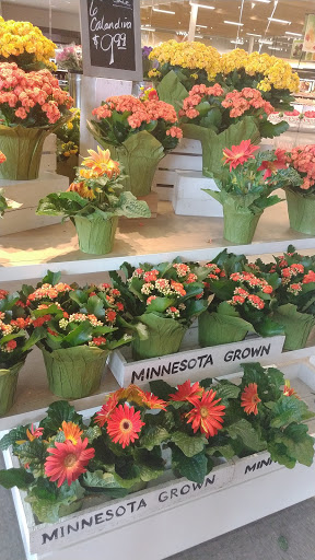 Shopping Mall «Southport Centre», reviews and photos, 15050 Cedar Ave S, Apple Valley, MN 55124, USA