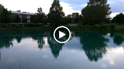 Park «Wahby Park», reviews and photos, 24800 Jefferson Ave, St Clair Shores, MI 48080, USA