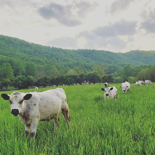 Free Union Grass Farm