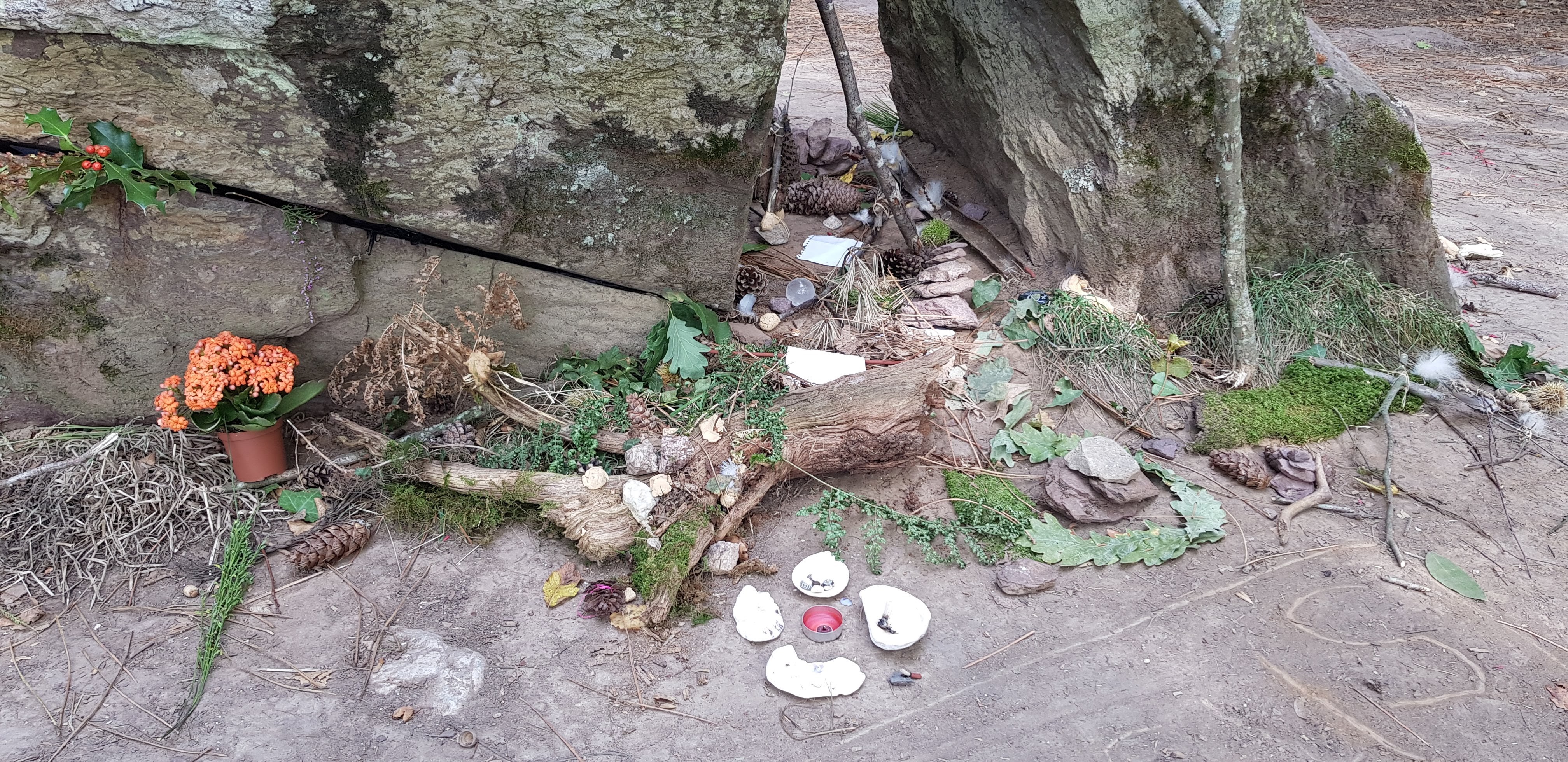 Photo n° 1 de l'avis de Pierre-B..u fait le 26/09/2020 à 06:59