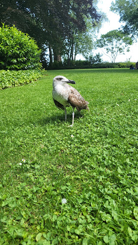 Wildvogelstation - Glaser