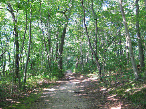 Park «Caumsett State Park», reviews and photos, 25 Lloyd Harbor Rd, Lloyd Harbor, NY 11743, USA