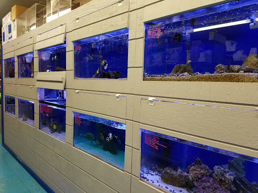 Tropical Fish Store «Stingray Bay», reviews and photos, 17800 E 9 Mile Rd, Eastpointe, MI 48021, USA