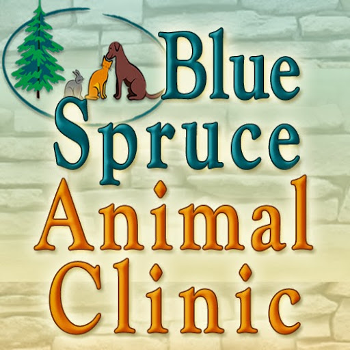 Veterinarian: Jasmine Tom, DVM image