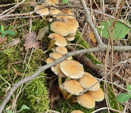 Kiessandzug und Uremsrinne photo