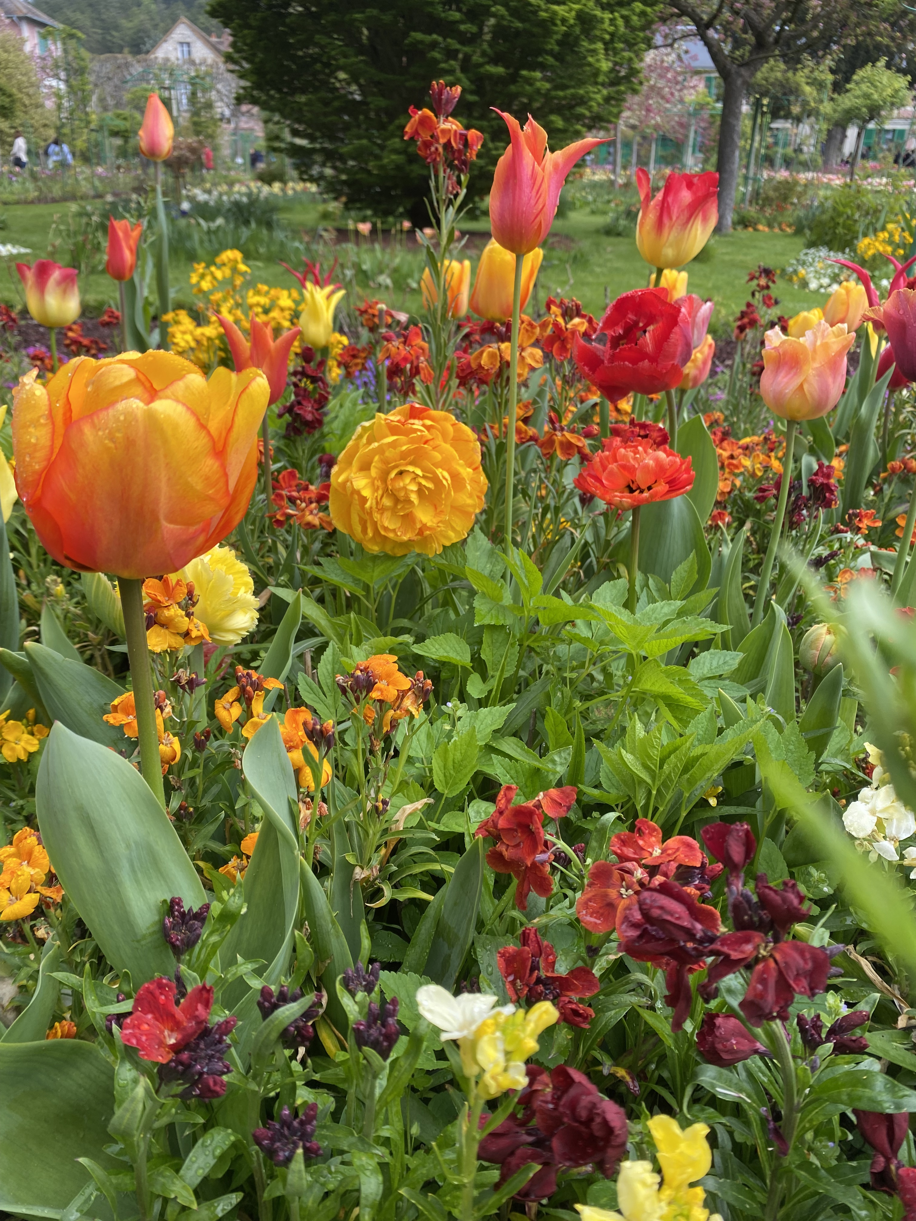 Photo n° 2 de l'avis de Emeline.u fait le 21/04/2023 à 20:45