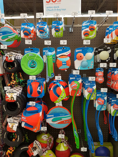 Pet Supply Store «Petco Animal Supplies», reviews and photos, 11147 Park Blvd N, Seminole, FL 33772, USA