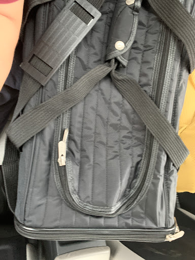 Pet Supply Store «Dog Bar», reviews and photos, 1684 Jefferson Ave, Miami Beach, FL 33139, USA