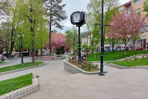 Central park in Raska image