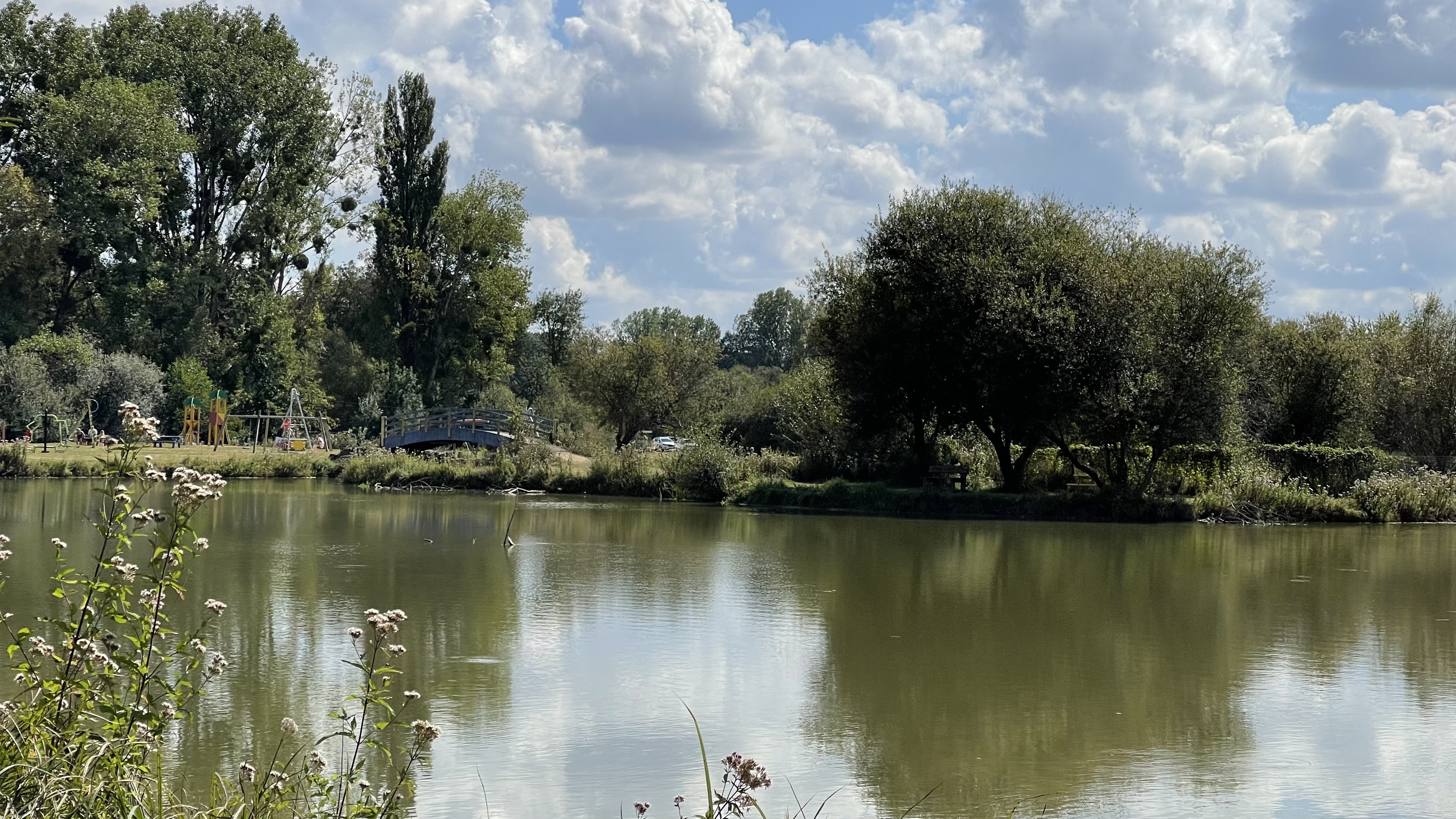 Photo n° 35 de l'avis de I.u fait le 05/09/2021 à 07:26
