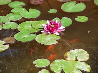 Body Synergy/Patricia Gray