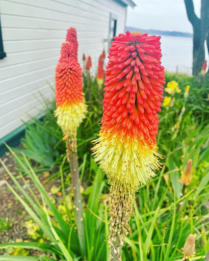 Park «Browns Point Light House Park», reviews and photos, 201 Tulalip St NE, Tacoma, WA 98422, USA