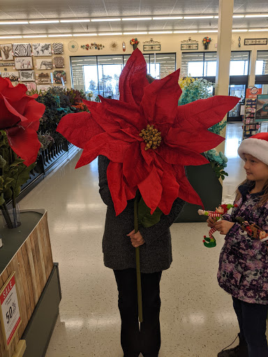 Craft Store «Hobby Lobby», reviews and photos, 815 Brandilynn Blvd, Cedar Falls, IA 50613, USA