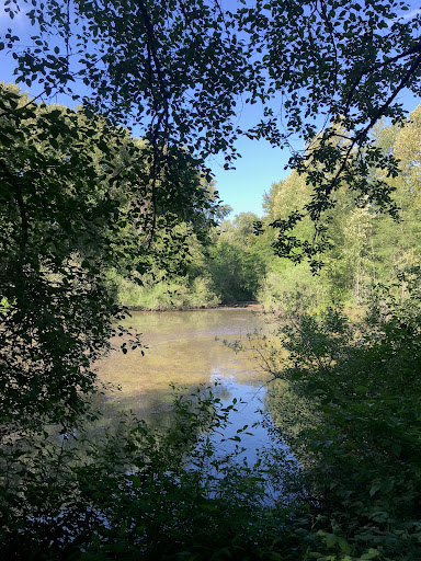 Nature Preserve «Black River Riparian Forest and Wetland», reviews and photos, Oakesdale Ave SW, Renton, WA 98057, USA