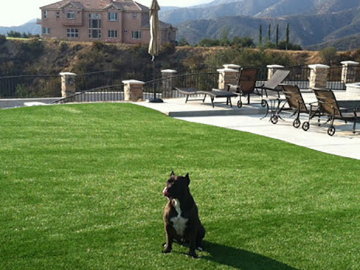 Elite Artificial Grass image