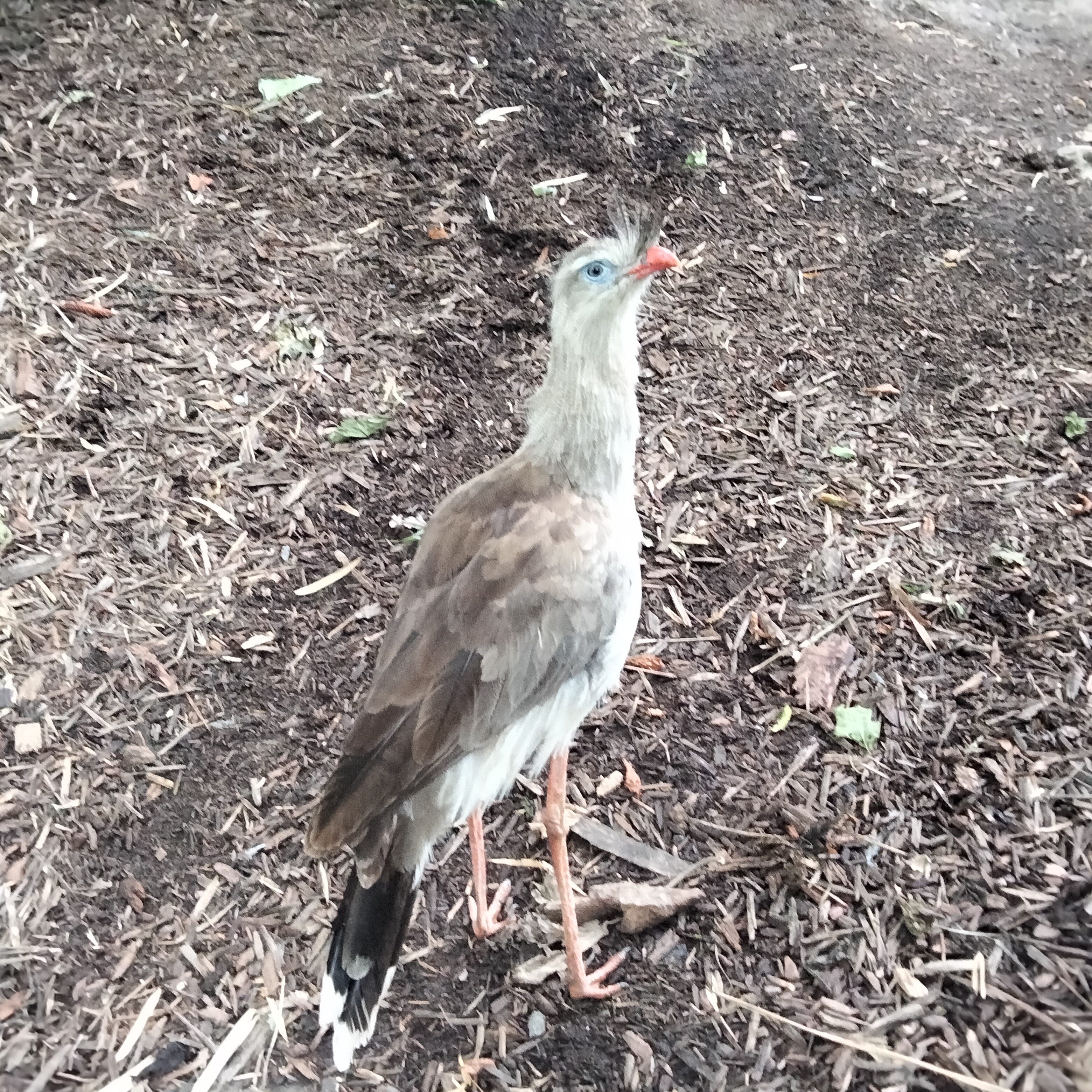 Photo n° 6 de l'avis de Patricia.i fait le 31/07/2023 à 13:25