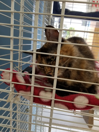 Pet Supply Store «Pet Barn», reviews and photos, 12675A NW Cornell Rd, Portland, OR 97229, USA