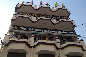 Hotel Fortunne image