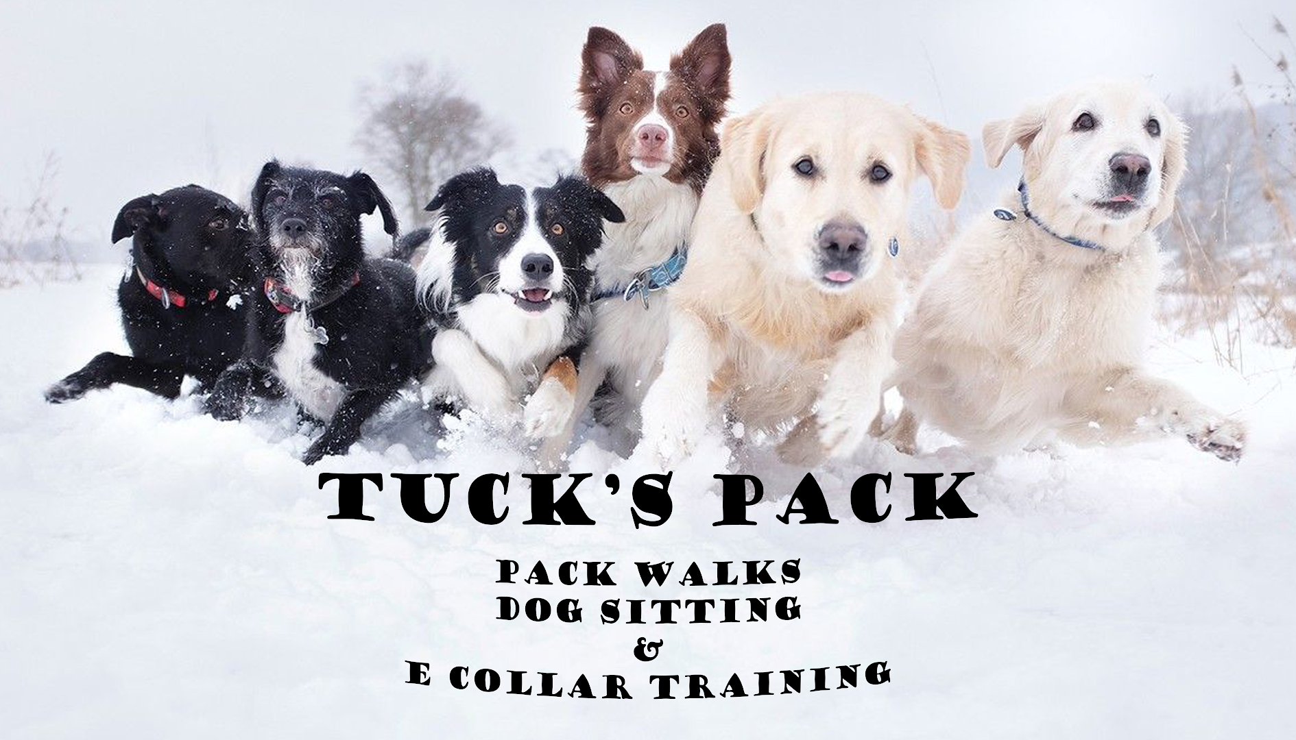 Tuck's Pack